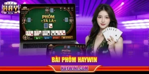 Bài Phỏm HAYWIN: 4+ Bí Kíp Cược Ù Lớn Từ Cao Thủ