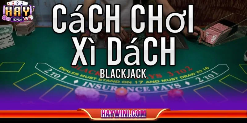 Cá cược với Xì dách là lựa chọn rất được yêu thích tại HAYWIN