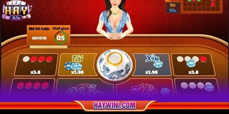 Người chơi có thể xác định xóc đĩa online có bịp không qua nhiều đặc điểm khác nhau