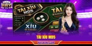 Tài Xỉu MD5: Sảnh Cược Sòng Phẳng Hàng Đầu Tại HAYWIN