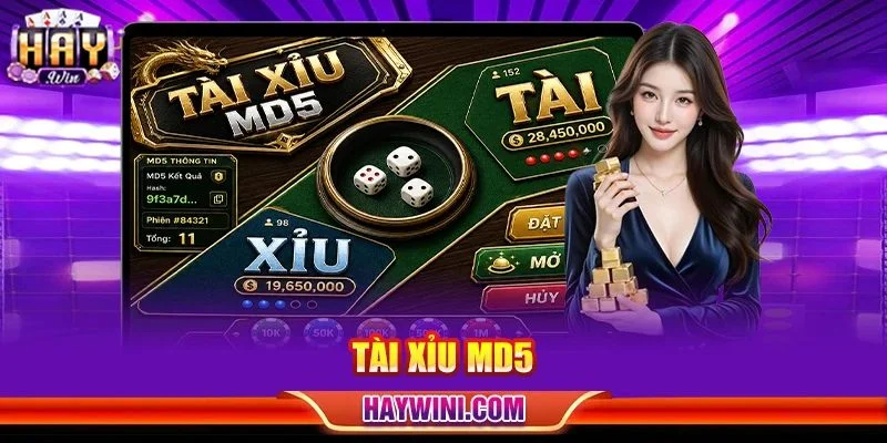 Tài Xỉu MD5: Sảnh Cược Sòng Phẳng Hàng Đầu Tại HAYWIN