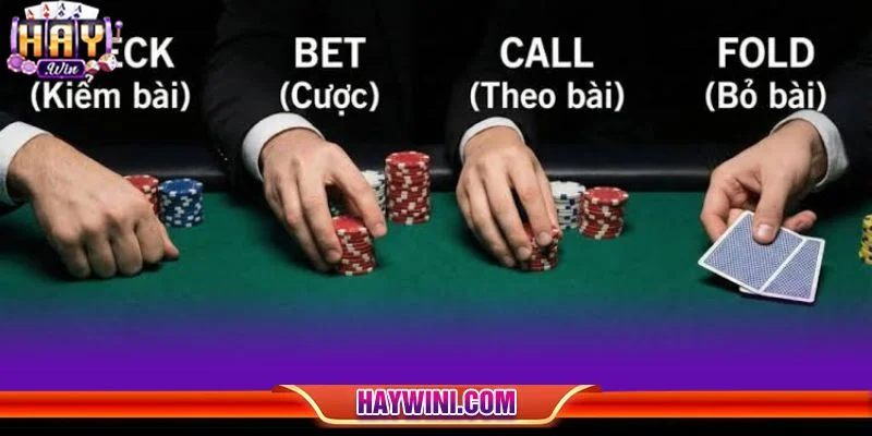 Tân thủ cần chủ động nắm vững luật chơi Xì tố tại HAYWIN