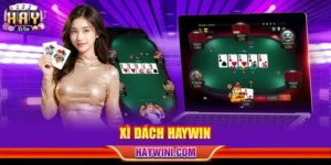 Xì Dách HAYWIN: Chinh Phục Bàn Chơi Với Luật Cược Chi Tiết