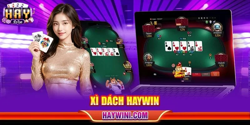 Xì Dách HAYWIN: Chinh Phục Bàn Chơi Với Luật Cược Chi Tiết