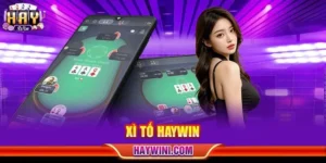 Xì Tố HAYWIN: Đỉnh Cao Game Bài, Chiến Thuật Chơi Bản Lĩnh