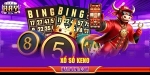 Xổ Số Keno: Cao Thủ HAYWIN Gợi ý 03 Mẹo Chơi Thực Chiến