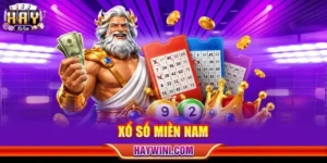 Xổ Số Miền Nam HAYWIN - Nắm Bắt Ngay Cơ Hội Đổi Đời Hấp Dẫn